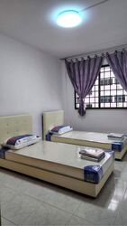 Blk 557 Hougang Street 51 (Hougang), HDB 4 Rooms #426147651